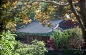 安国寺