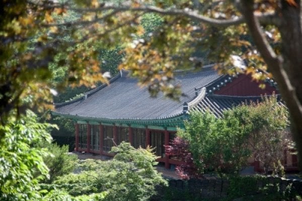 安国寺