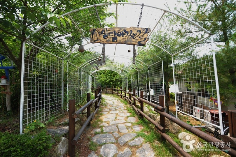 锦江堤坝