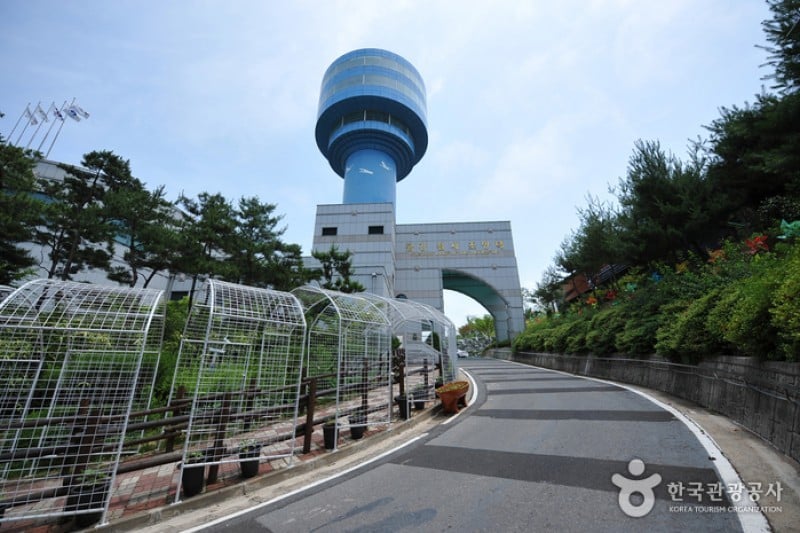 锦江堤坝