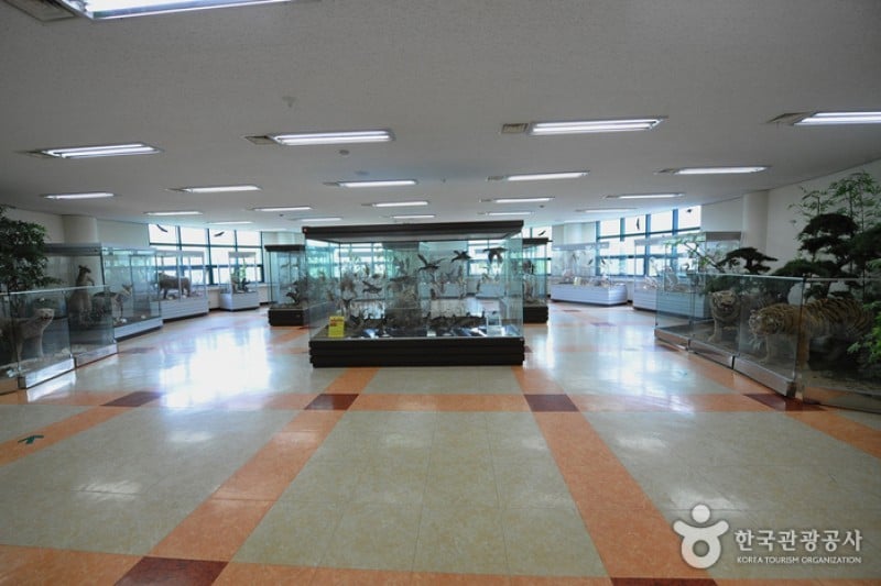 锦江堤坝