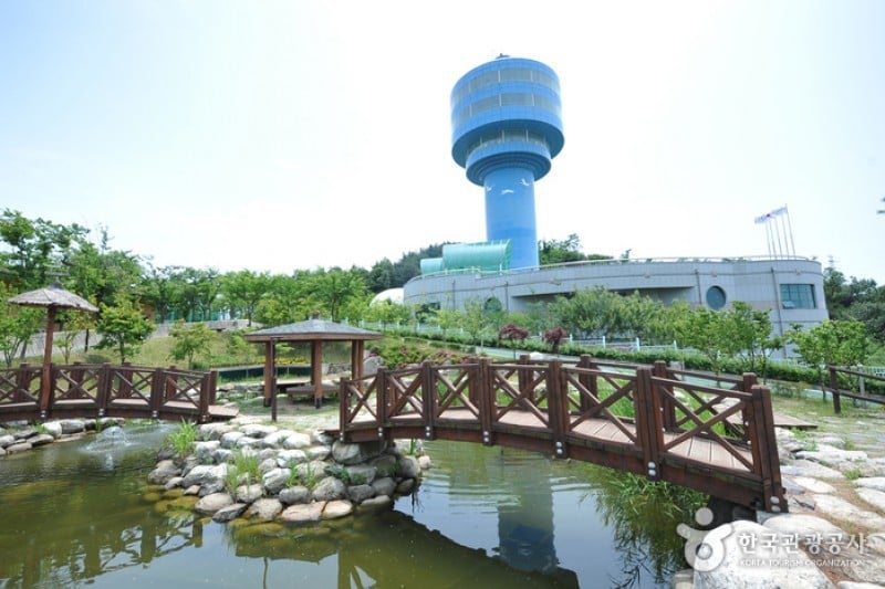 锦江堤坝