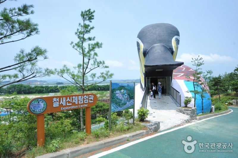 锦江堤坝