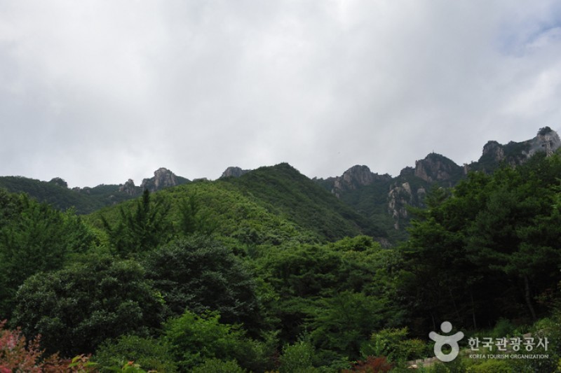 大芚山道立公园