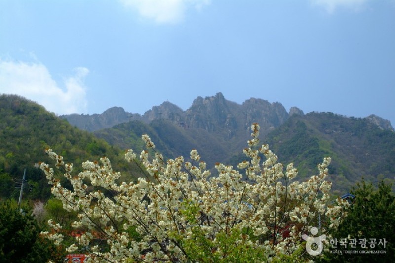 大芚山道立公园