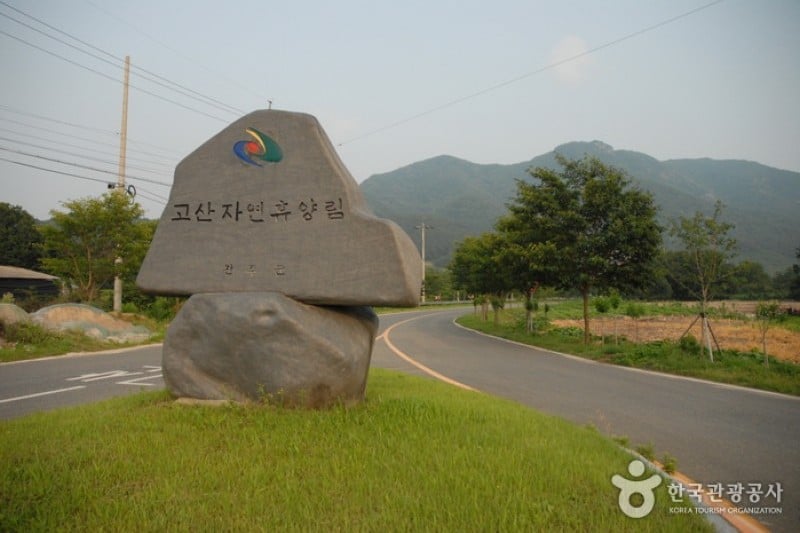 高山自然修养林