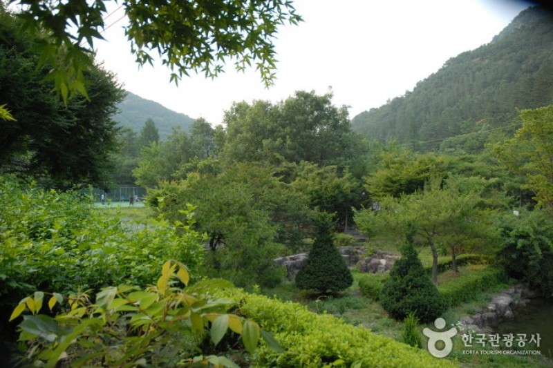高山自然修养林