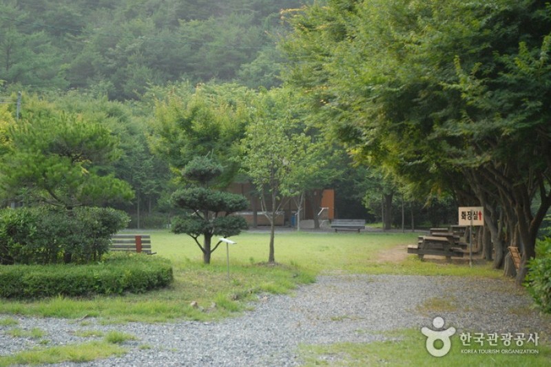 高山自然修养林