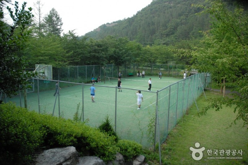 高山自然修养林