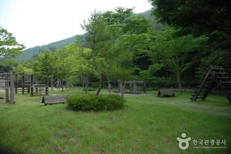 高山自然修养林