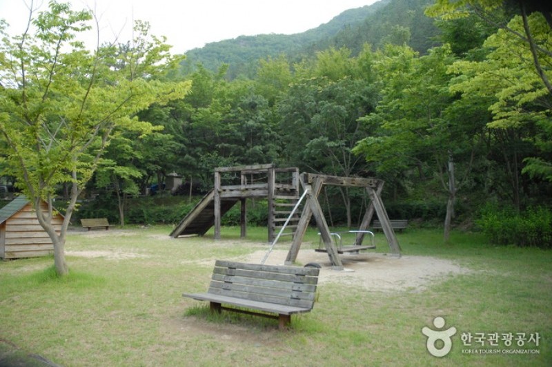 高山自然修养林