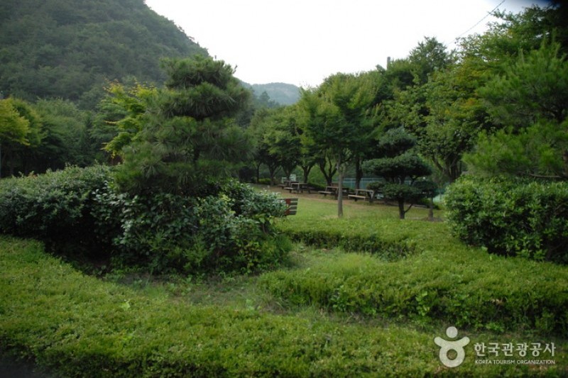 高山自然修养林