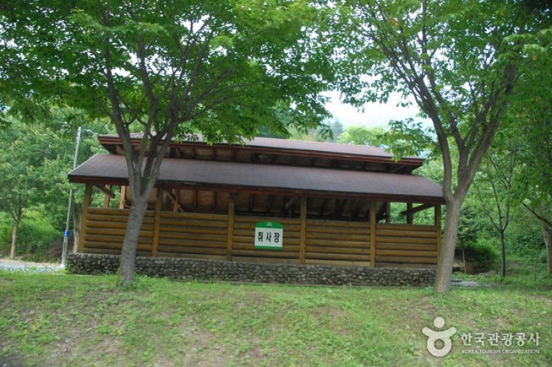 高山自然修养林