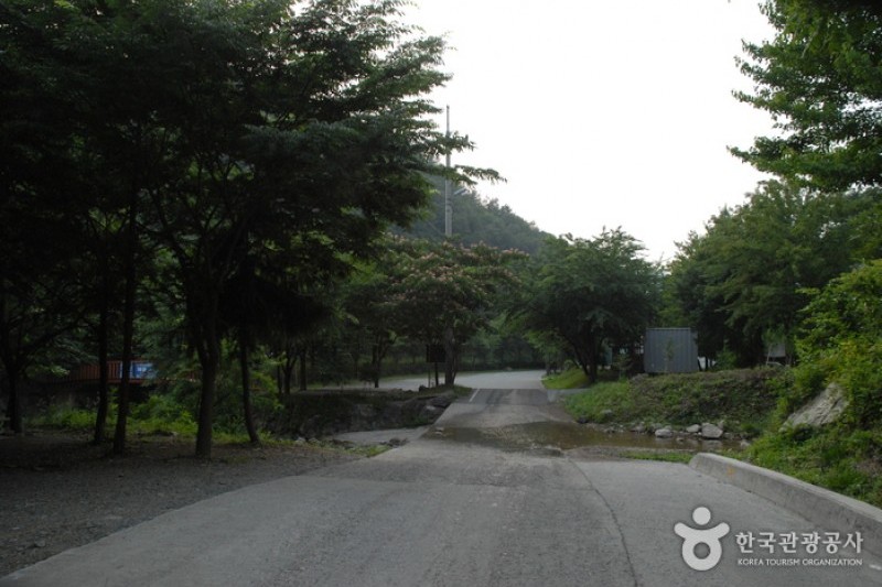 高山自然修养林