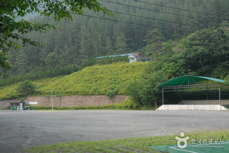 高山自然修养林