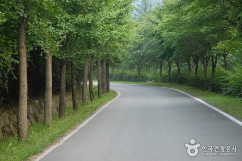 高山自然修养林