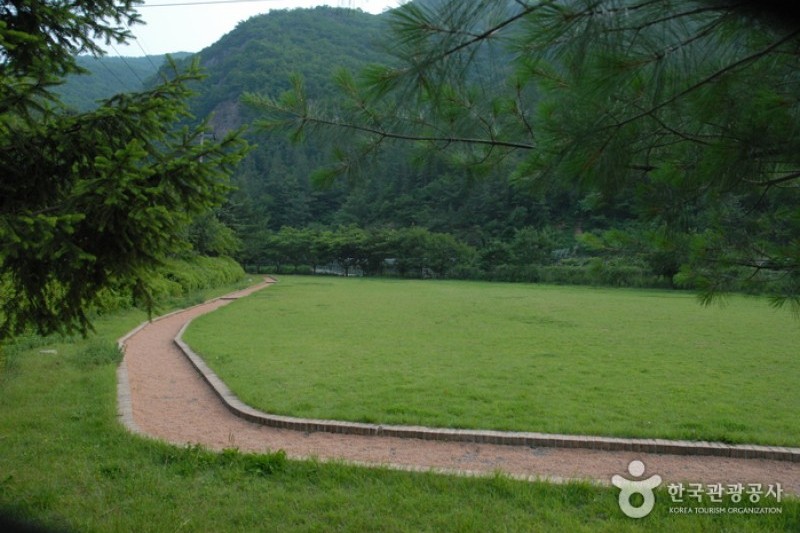高山自然修养林