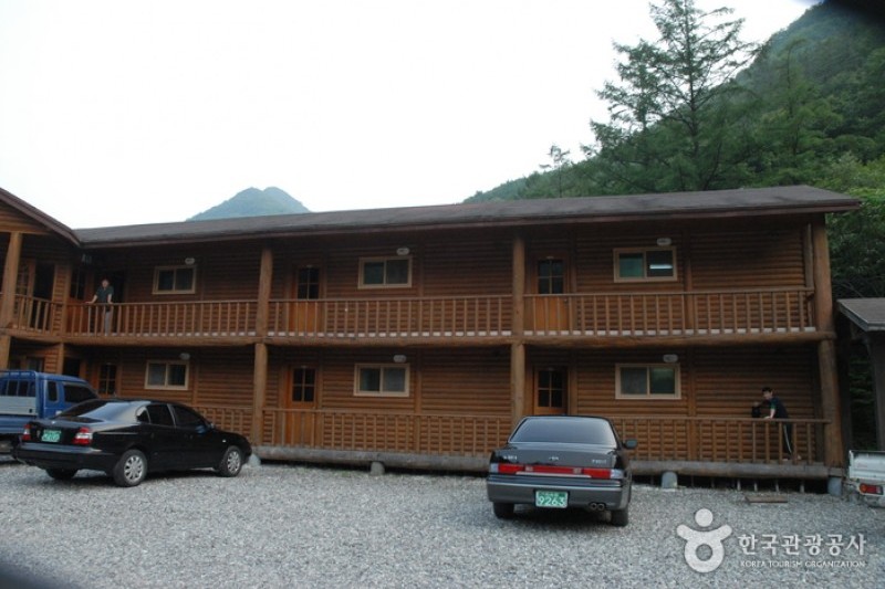 高山自然修养林