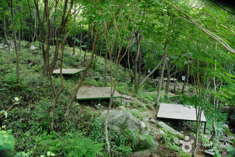 卧龙自然休养林(와룡자연휴양림) (4/23)
