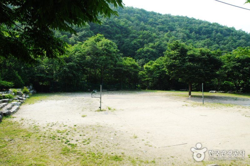 卧龙自然休养林(와룡자연휴양림) (6/23)
