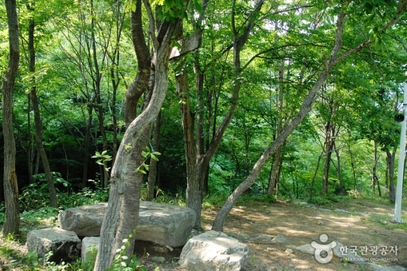 卧龙自然休养林(와룡자연휴양림) (9/23)
