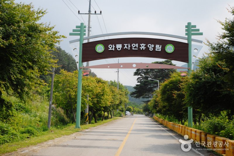 卧龙自然休养林(와룡자연휴양림) (10/23)