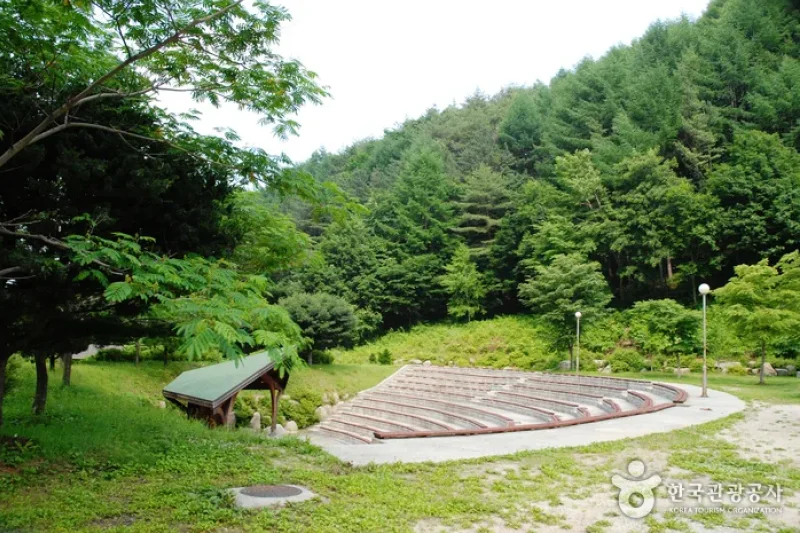 卧龙自然休养林(와룡자연휴양림) (12/23)