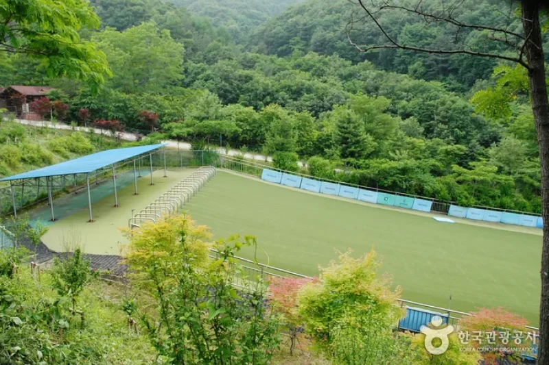 卧龙自然休养林(와룡자연휴양림) (15/23)