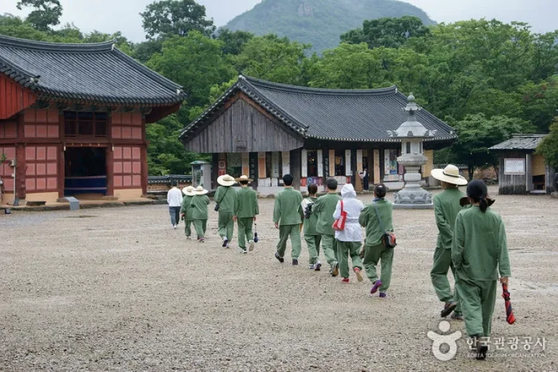 禪云寺山寺体验