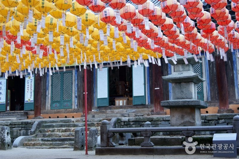 禪云寺山寺体验