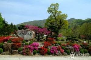 大雅树木园