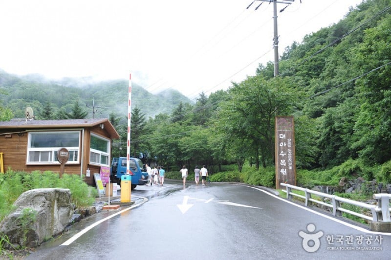 大雅树木园
