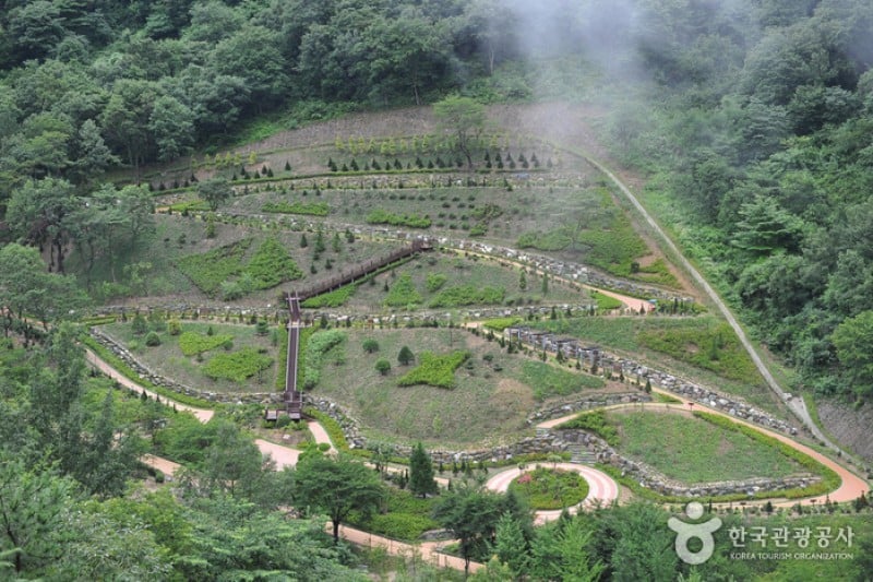 大雅树木园