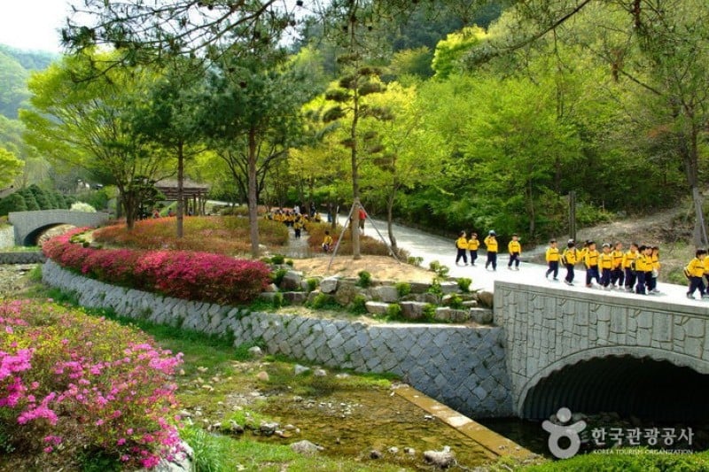 大雅树木园