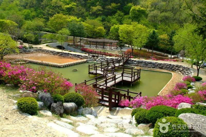 大雅树木园