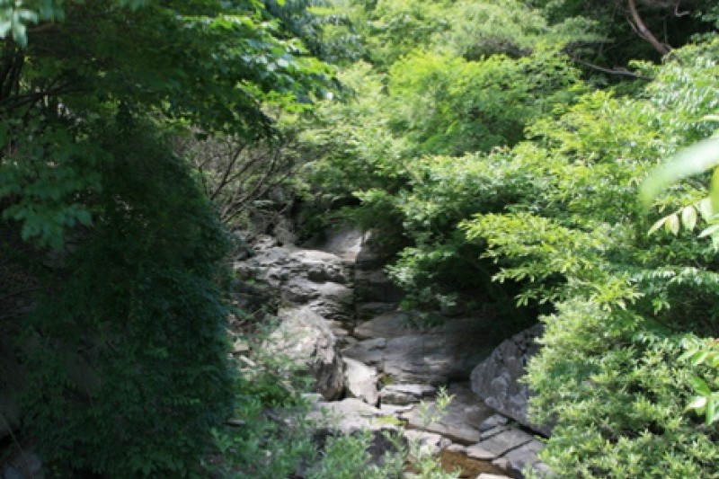 回文山自然休养林