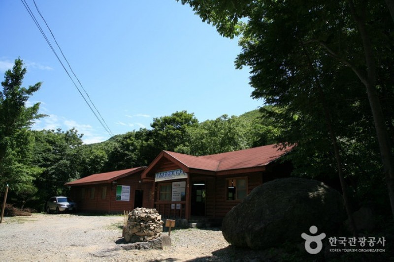 回文山自然休养林