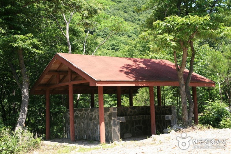 回文山自然休养林