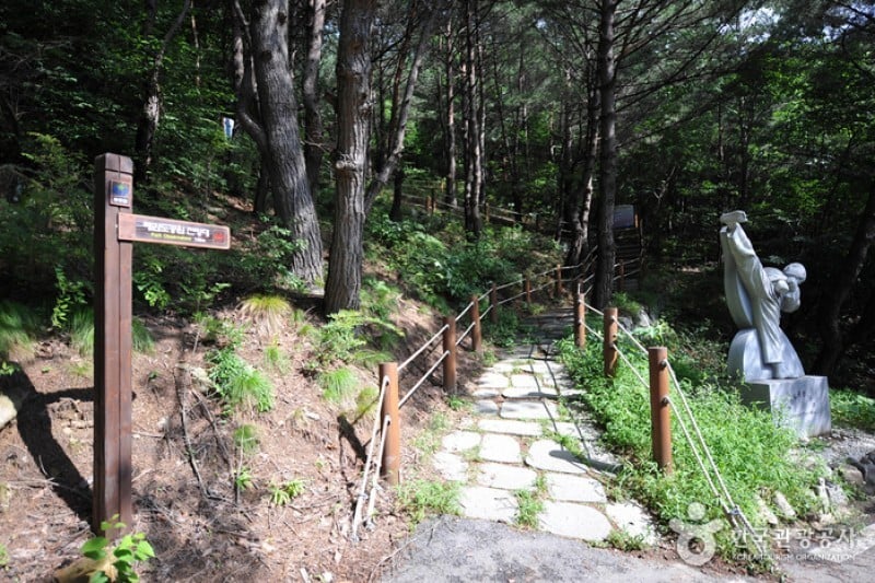 跆拳道公园展望台 
