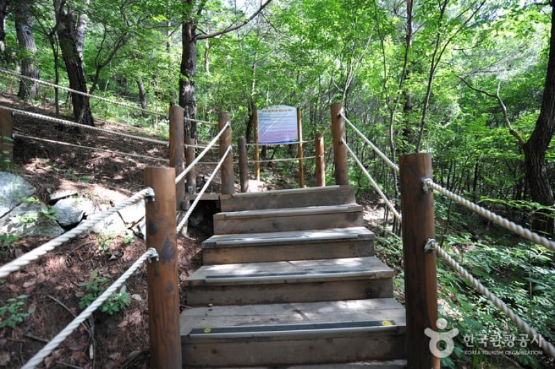 跆拳道公园展望台 