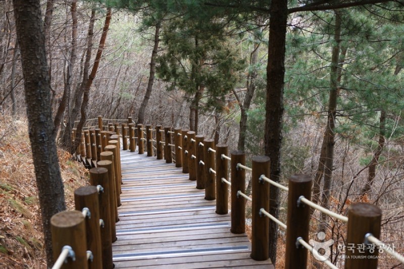 跆拳道公园展望台 