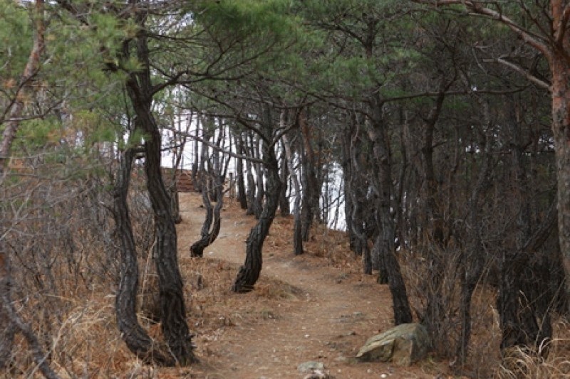 跆拳道公园展望台 