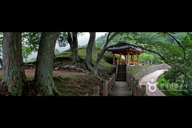 九潭村 (9/14)