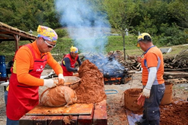 完州野生食物庆典