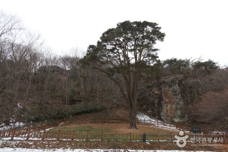 禅云山道立公园