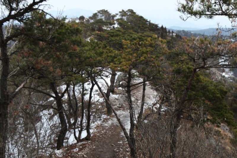 禅云山道立公园