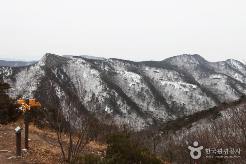 禅云山道立公园
