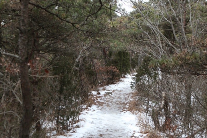 禅云山道立公园