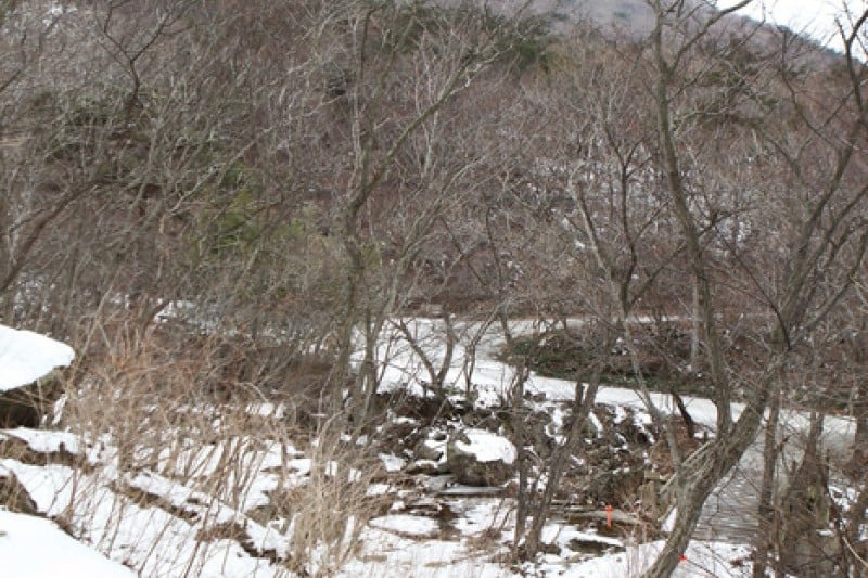 禅云山道立公园