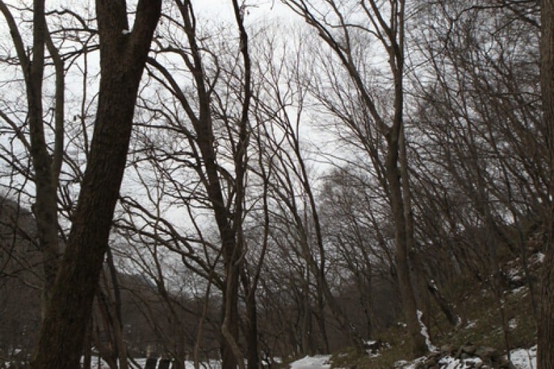 禅云山道立公园